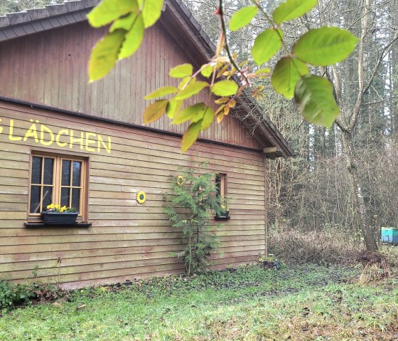 Imkerhuis en bijenkorven in het natuurparkcentrum, © Felsenland Südeifel Tourismus GmbH, Elke Wagner