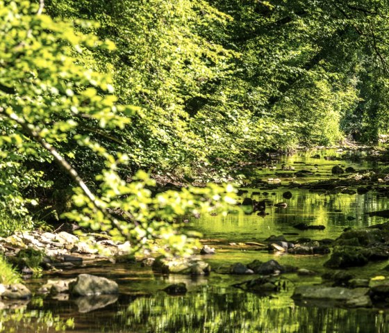 Idyllisches Enztal auf dem Schluchtenpfad, © Eifel Tourismus GmbH, D. Ketz