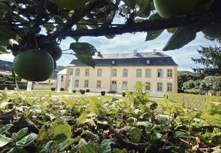 Außenansicht Schloss Niederweis, © Felsenland Südeifel Tourismus GmbH, AC Krebs