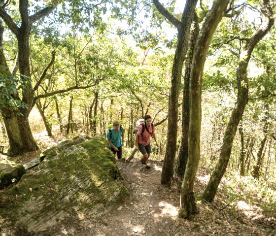 Nat'Our Route 5, Lätgesberg, © Eifel Tourismus GmbH, D. Ketz