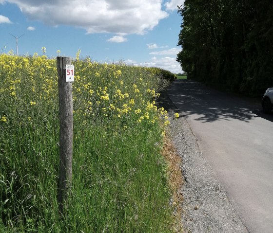 Weite Felder begleiten uns einen Großteil des Weges., © Felsenland Südeifel Tourismus, Antje Ackermann