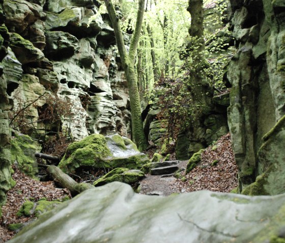 Landschaft der Teufelsschlucht, © Felsenland Südeifel