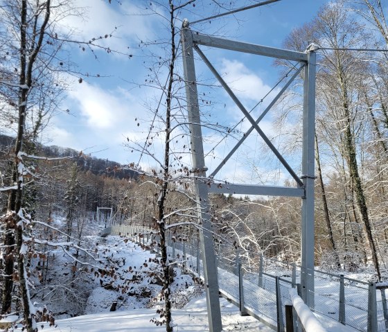 Ganzjährig zugängliche Hängebrücke, © Felsenland Südeifel Tourismus GmbH