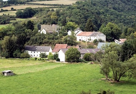 Blick auf Gemünd, © V. Teuschler