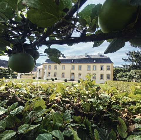 Außenansicht Schloss Niederweis, © Felsenland Südeifel Tourismus GmbH, AC Krebs