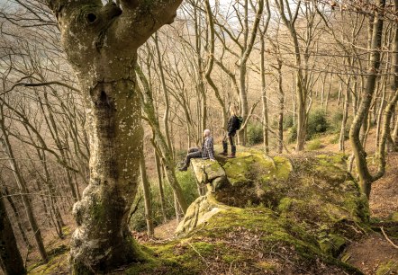 Rugged rocks, © Eifel Tourismus GmbH, D. Ketz