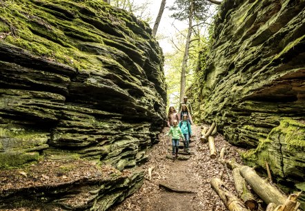 Grüne Hölle Bollendorf, © Eifel Tourismus GmbH, Dominik Ketz