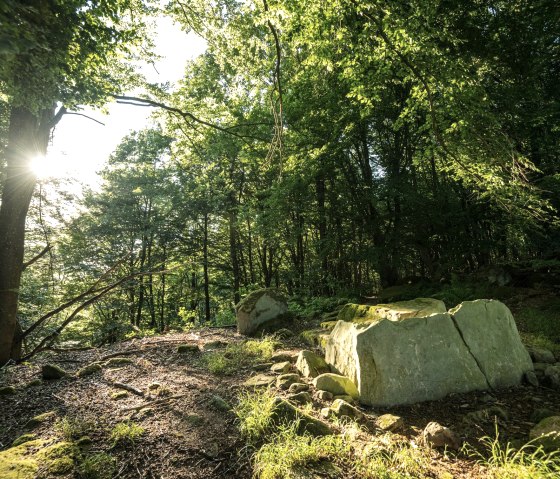 Tombe en boîte de pierre dans la forêt près de Schankweiler, © Eifel Tourismus GmbH, D. Ketz