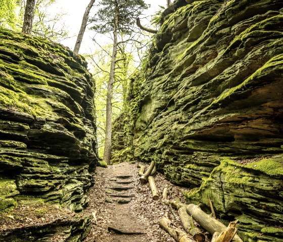 Felsenlandschaft auf der Lauschtour Grüne Hölle, © Eifel Tourismus GmbH, Dominik Ketz