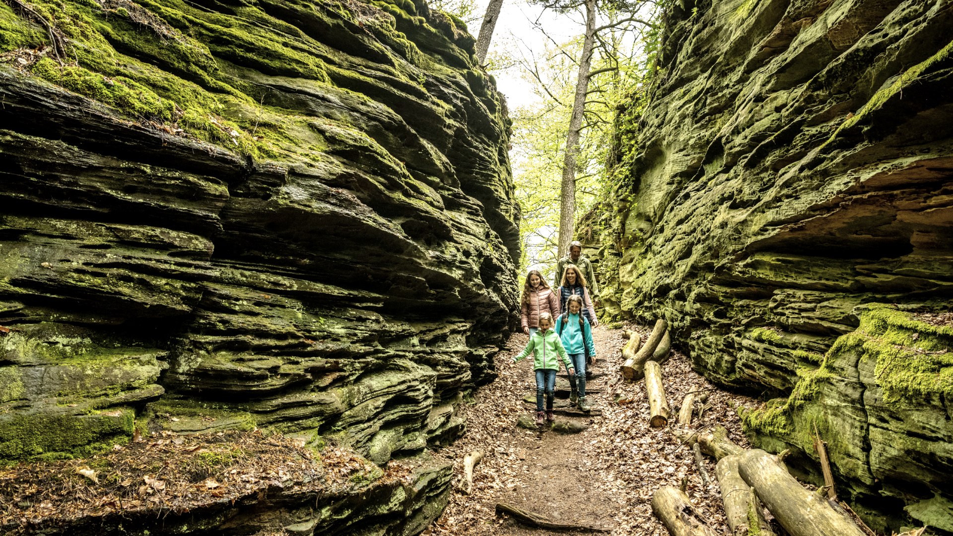 Grüne Hölle Bollendorf, © Eifel Tourismus GmbH, Dominik Ketz