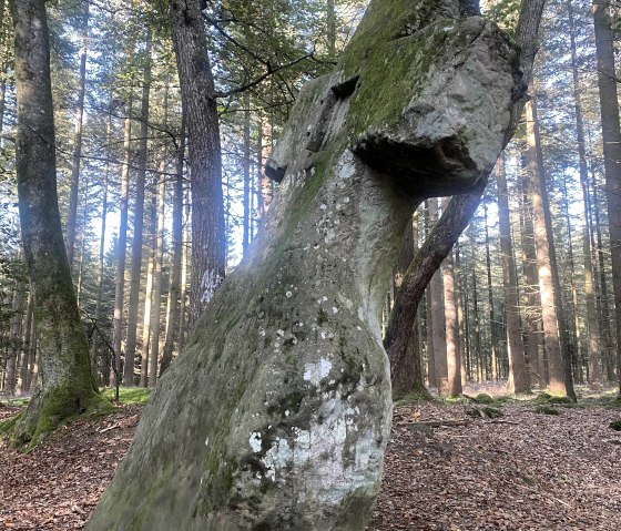 Fraubillenkreuz Wald, © Felsenland Südeifel Tourismus GmbH / Anna Carina Krebs