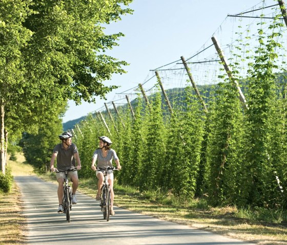 Piste cyclable de Prüm, © Rheinland Pfalz Tourismus GmbH / Dominik Ketz