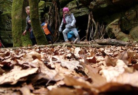 Herbstwanderungen, © Felsenland Südeifel Tourismus GmbH