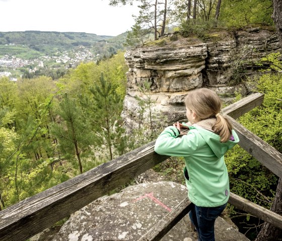 Blick auf Bollendorf, © Eifel Tourismus, Dominik Ketz