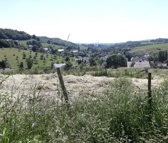 Blick auf Utscheid, © Felsenland Südeifel Tourismus, Natalie Mainz