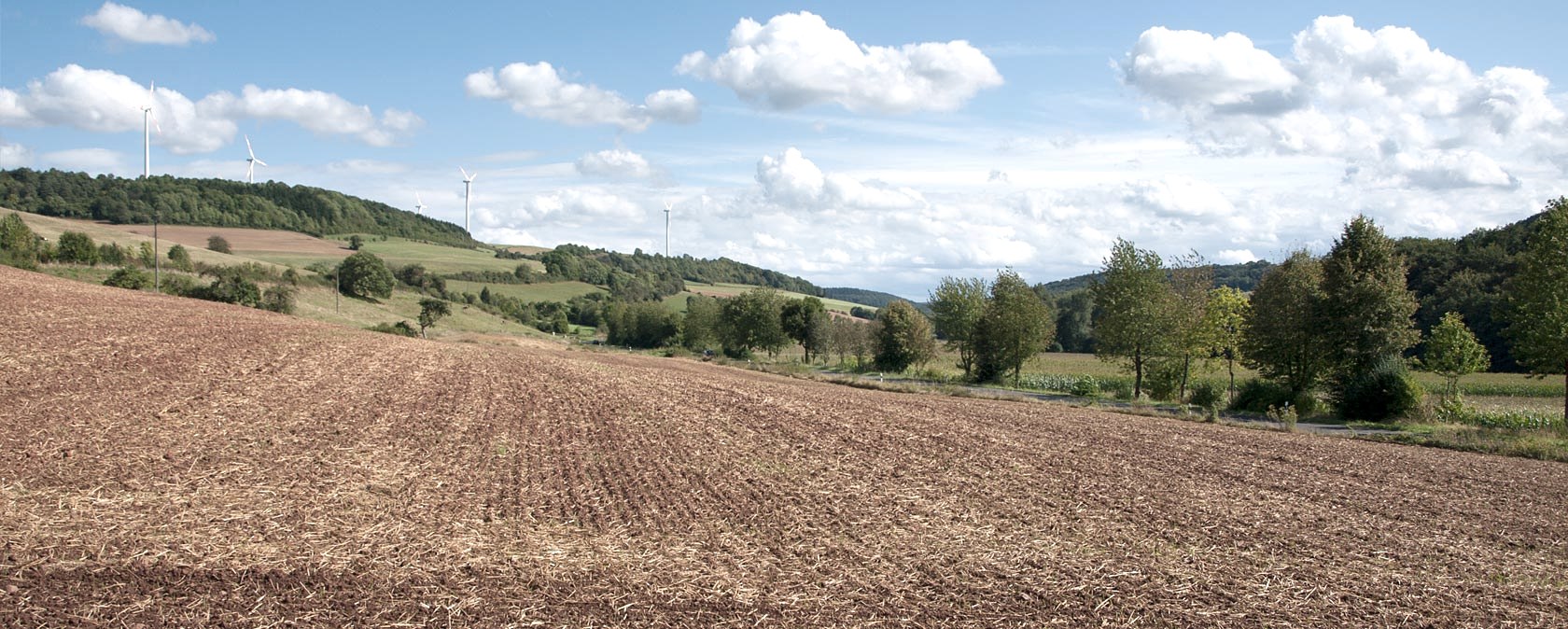 Blick ins Enztal, © V. Teuschler