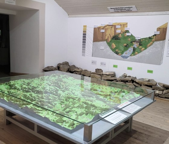 Landscape model in the Nature Park Museum, © Felsenland Südeifel Tourismus GmbH