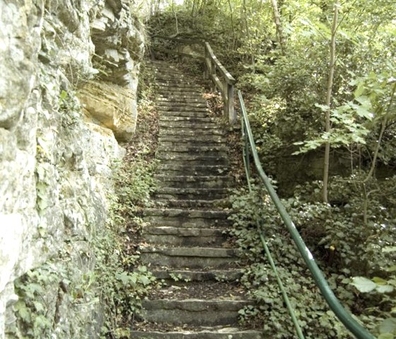 Treppe im Wald