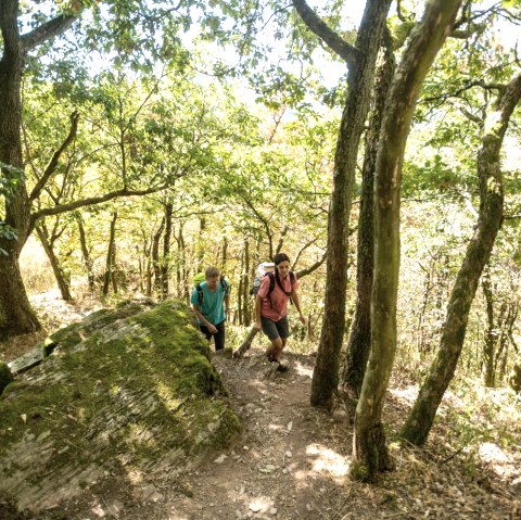 Nat'Our Route 5, Lätgesberg, © Eifel Tourismus GmbH, D. Ketz