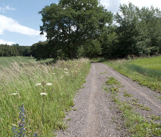 Feldweg am Waldrand, © V. Teuschler