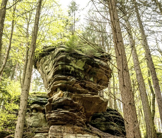 Predigstuhl, © Eifel Tourismus GmbH, Dominik Ketz