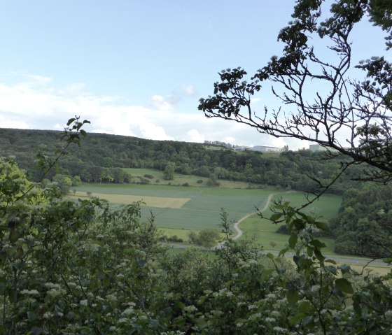 Blick von der MIndener Layen auf die luxemburgischen Höhen an der Sauer, © Elke Wagner, Felsenland Südeifel Tourismus GmbH